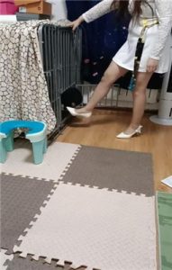 【平凡】圈养狗奴犬化实录_绳艺资源网